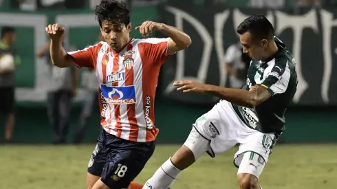 Fernández no ha podido ser titular establecido en Junior.