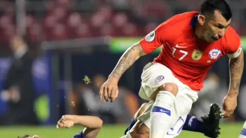Gary, un perro en la cancha ante Japón.