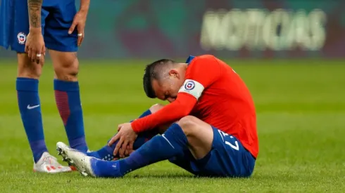 El lamento del Pitbull