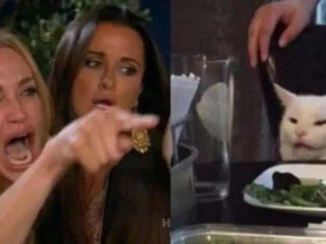 La explicación del meme del gato blanco increpado por una mujer