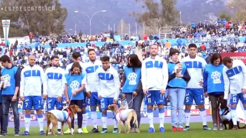 La UC y sus tiernos perritos.