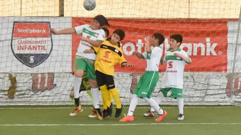 Este fin de semana conocemos al campeón del Campeonato Infantil Scotiabank de Temuco.