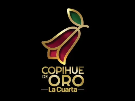 Revelan a los nominados al Copihue de Oro 2019