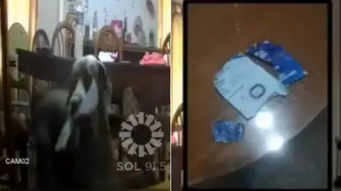 En trocitos quedó la entrada para la Copa Sudamericana después del mordisco del perro