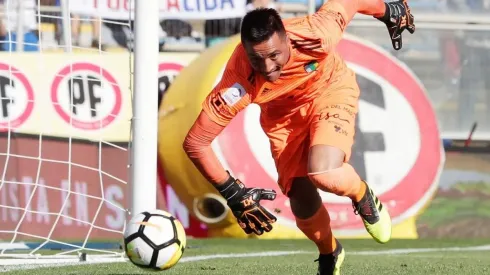 Pinto ahora viste de albo