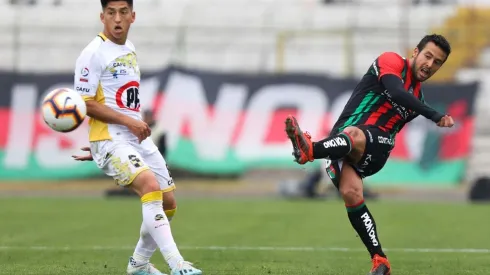 No se mueve: Cristóbal Jorquera renueva y extiende su vínculo con Palestino