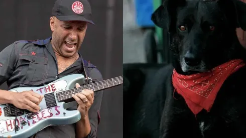 Tom Morello celebra y comparte ilustración de chileno