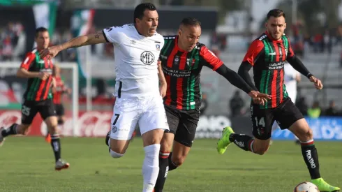 Los albos reciben a los árabes en Macul.