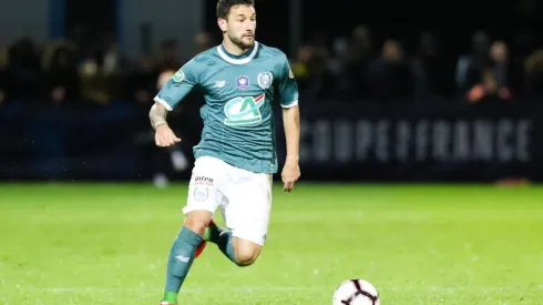 Boschilia en Nantes.