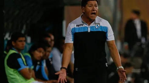 Confían en el Pillo