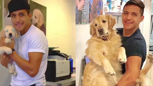 Atom y Humber tienen "hermanos"