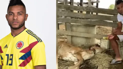 Miguel Borja muestra amargamente al bovino atacado