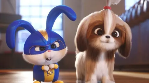 "La Vida Secreta de las Mascotas 2" es parte de lo que ofrecerá HBO durante mayo.