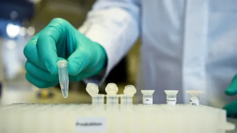 CureVac sigue avanzando en Alemania en busca d euna vacuna contra el coronavirus.