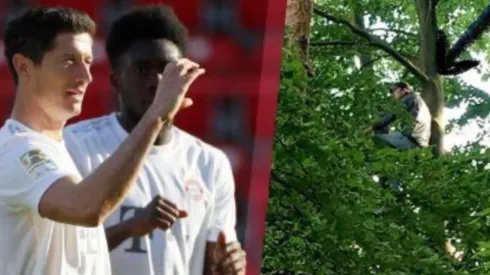 Locura para ver la Bundesliga