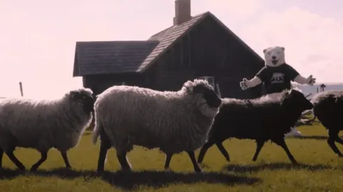 Este sábado desde las 8 de la mañana podrás seguir en vivo este particular concurso.