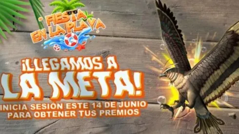 Con solo iniciar sesión podrás tener a Falco como mascota.