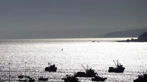 El hombre ucraniano fue encontrado en la Isla Quiriquina al frente de Talcahuano.
