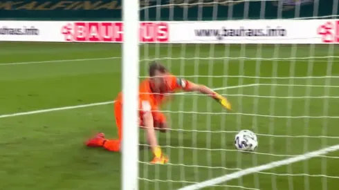 El condoro del arquero del Bayer.