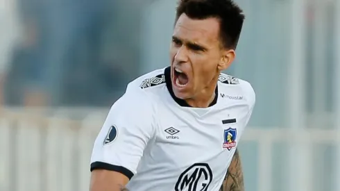 Mouche en Colo Colo.