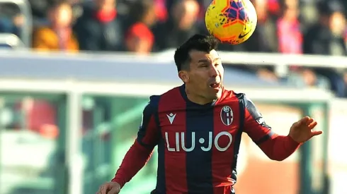 Medel en Bologna.