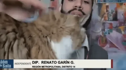 La mascota del diputado Garín se robó la película.