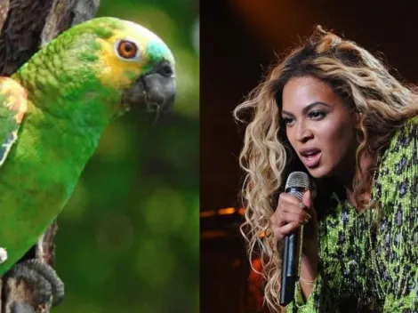 Loro se luce cantando como Beyoncé y se vuelve viral