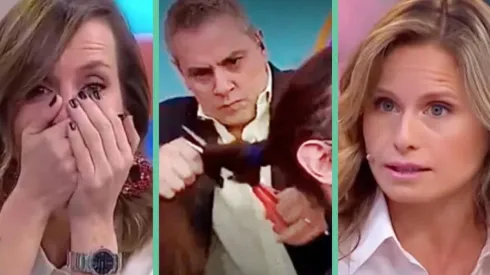 Diana Bolocco, Soledad Onetto y Michelle Adam tuvieron diversas reacciones ante el arranque de José Miguel Viñuela.