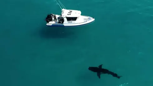 Las autoridades informaron que nadie resultó herido tras el hecho.