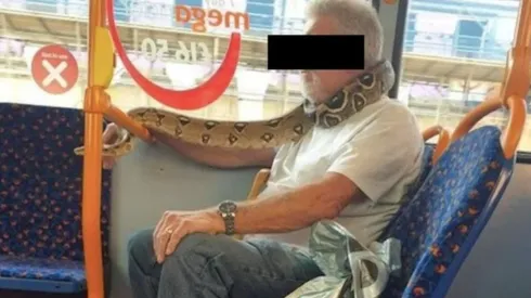Los pasajeros del bus quedaron atónitos con el animal enrollado en el cuello del hombre.