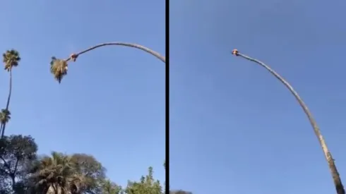 El hombre se encontraba a más de 10 metros de altura.