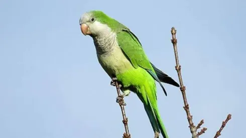 Los cuidadores del parque se preocuparon por los niños que asisten al zoológico los fines de semana.