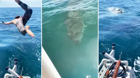 Tras darse cuenta de que se trataba de un tiburón blanco, el joven regresó rápidamente al bote.