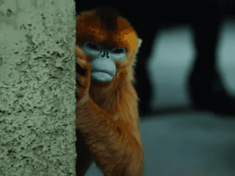 Nuevo trailer de "His Dark Materials"