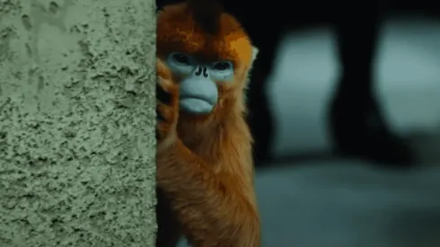 Los daemons son parte fundamental en la historia de "His Dark Materials".