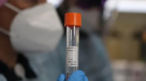 Los chilenos deberán adaptarse a medidas de higiene durante esa jornada