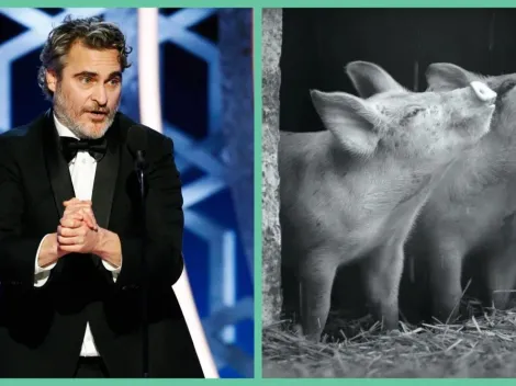 Joaquin Phoenix invita a vivir como cerdos