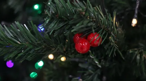 ¿Es feriado irrenunciable Navidad y Año Nuevo?