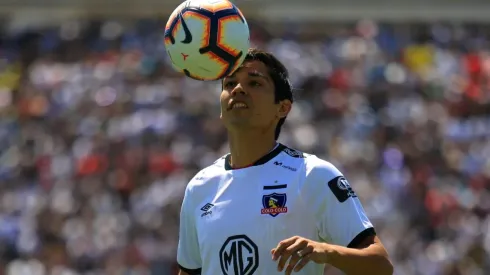 Fernández es considerado un tremendo aporte en la interna alba.