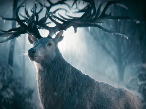 Netflix presenta su adaptación de "Sombra y Hueso"