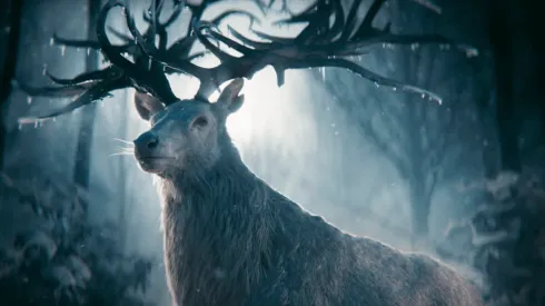 La "Sombra y Hueso" debutó originalmente el 2012. Ocho años después debutará como una serie de Netflix.