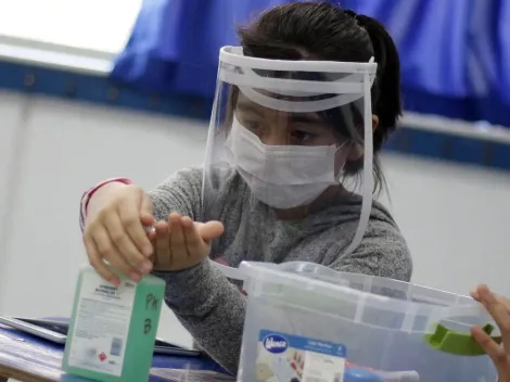 ¿Desde qué edad se puede vacunar?