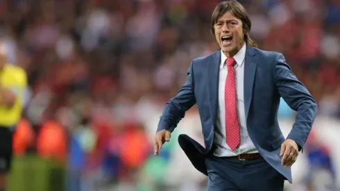 El ex DT de River Plate es opción a la Roja.