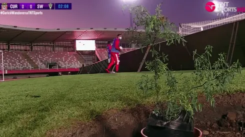 La ruda en La Granja