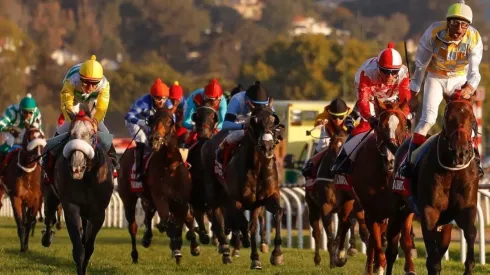 War Breeze fue el ganador de la versión 2020.