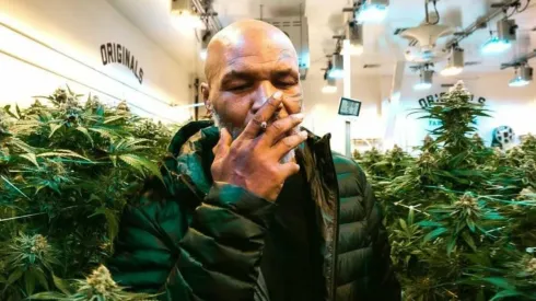 Tyson dice que se fuma unos 40 mil dólares al mes con sus amigos