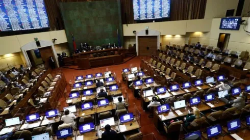 El miércoles 31 de marzo se votará la primera instancia del proyecto.