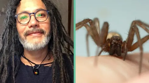Quique Neira y una araña de rincón.