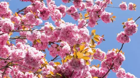 Conoce que te depara hoy el horóscopo