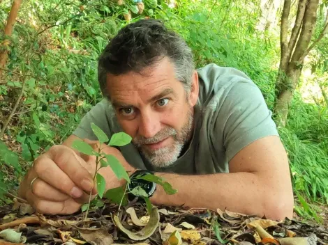 Braun se consagra como conductor y productor televisivo